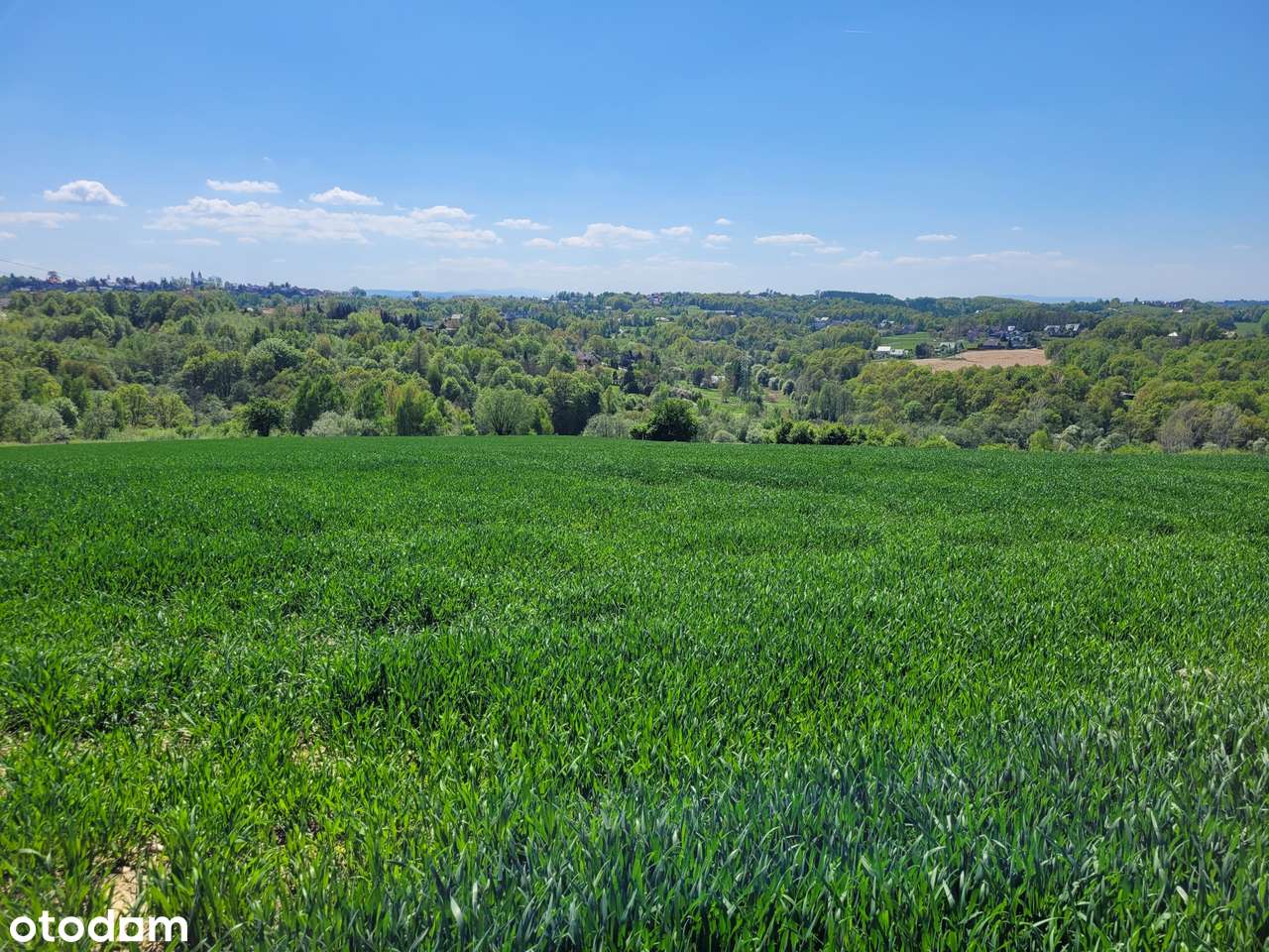 11 a Ochojno | Widokowa | MPZP-4