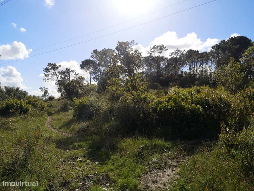 Terreno para Construção, Declive Moderado, Cernache, Coimbra - Grande imagem: 2/2