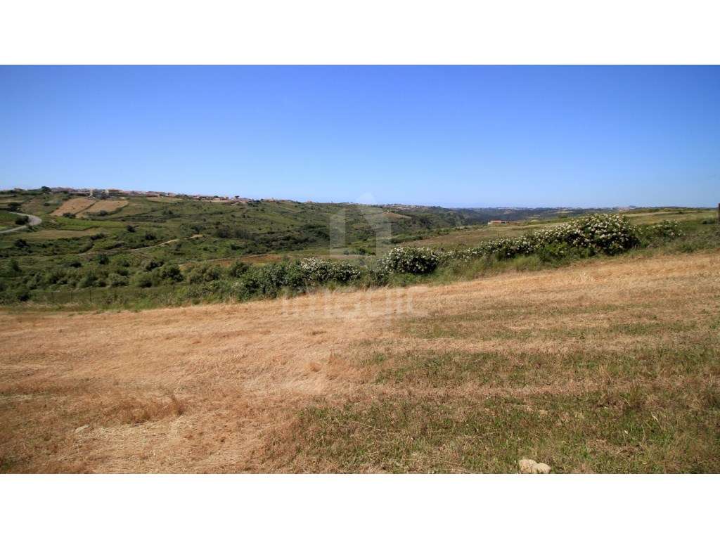 Terreno rústico em São João das Lampas - Grande imagem: 3/4