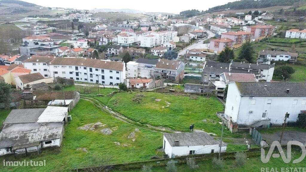 Terreno para construção em Alijó - Grande imagem: 4/13