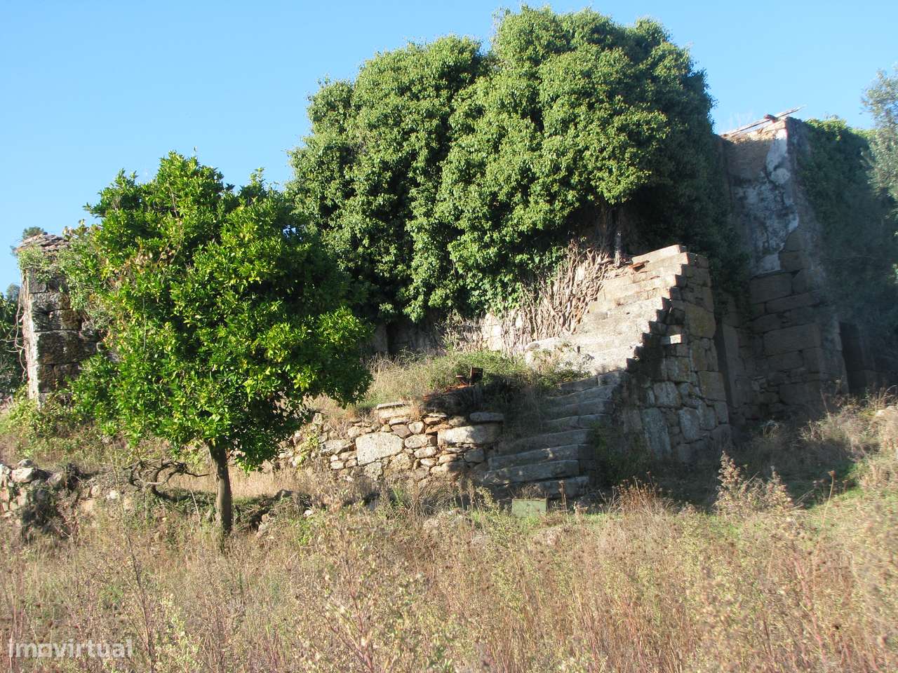 Quinta com casa em ruínas-10