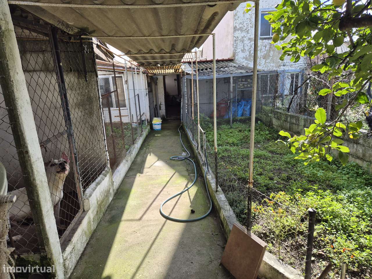 Snack-bar e minimercado em Gomes Aires, concelho de Almodovar-23
