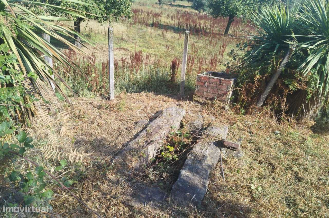 Terreno, 6 700 m², Santiago de Cassurrães e Póvoa de Cervães - Grande imagem: 5/32