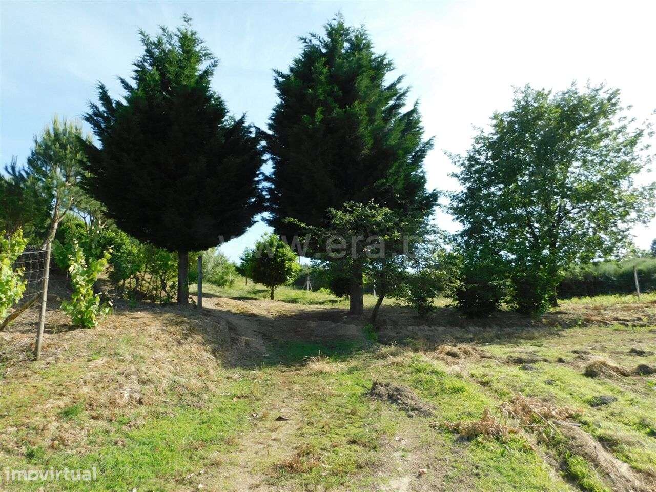 Quintinha / Seia, Paranhos - Grande imagem: 5/17