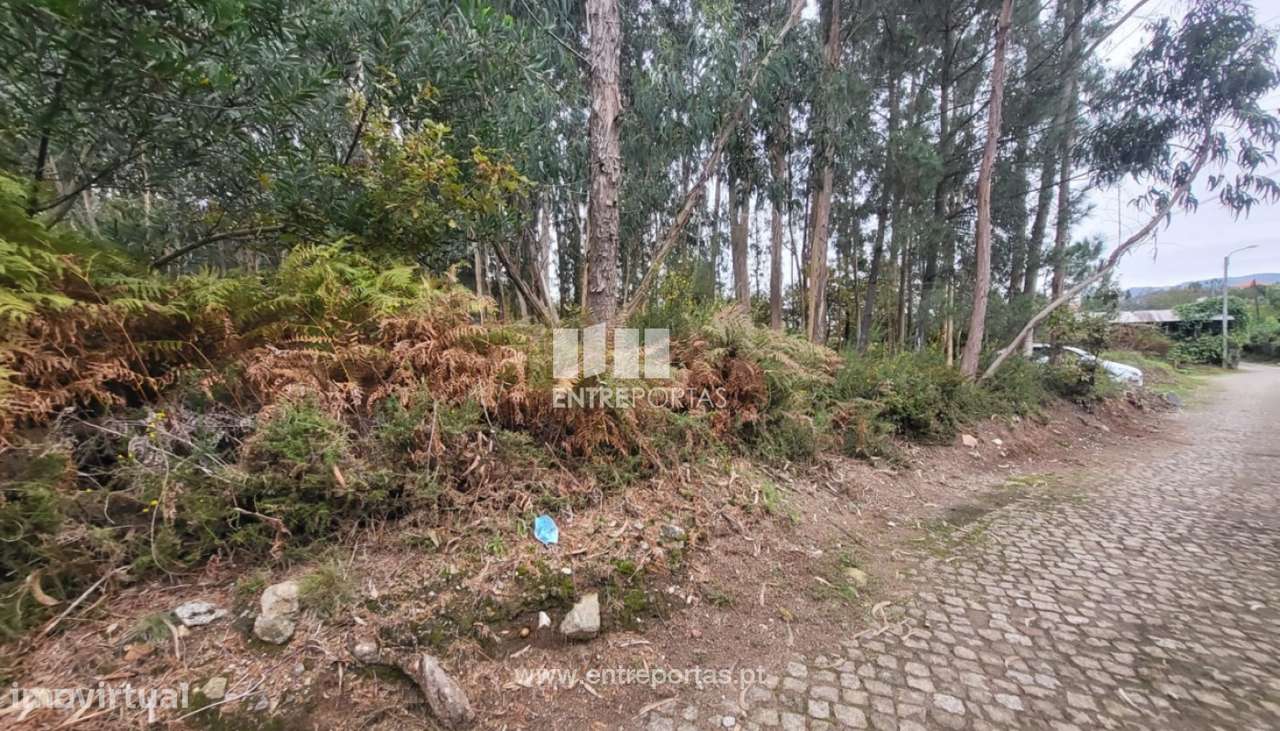 Venda de terreno florestal c/ 650m², Subportela, Viana do Castelo - Grande imagem: 2/30