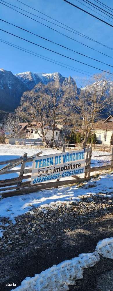 Teren 2675 mp in Poiana Tapului, priveliște spre munții Bucegi! - Imagine principală: 2/6