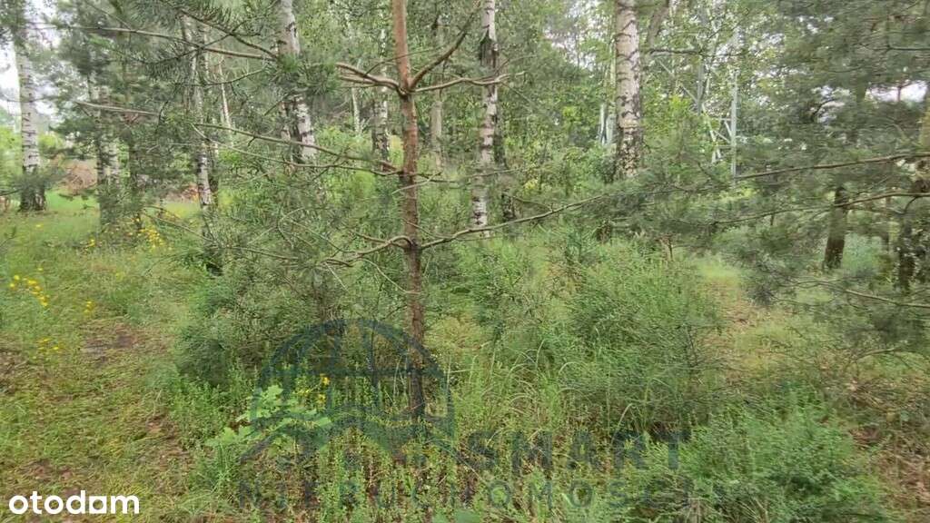 Urocza działka za miastem, Tuszyn, Wodzin-12