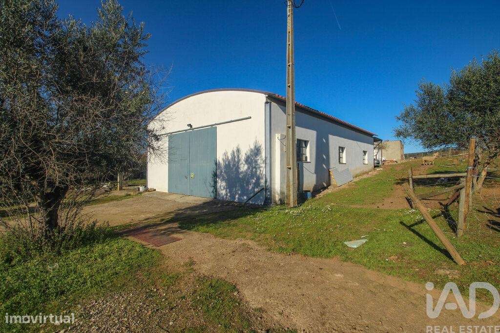 Quinta em Ameixial (Santa Vitória e São Bento) de 180,00 m2 - Grande imagem: 5/30