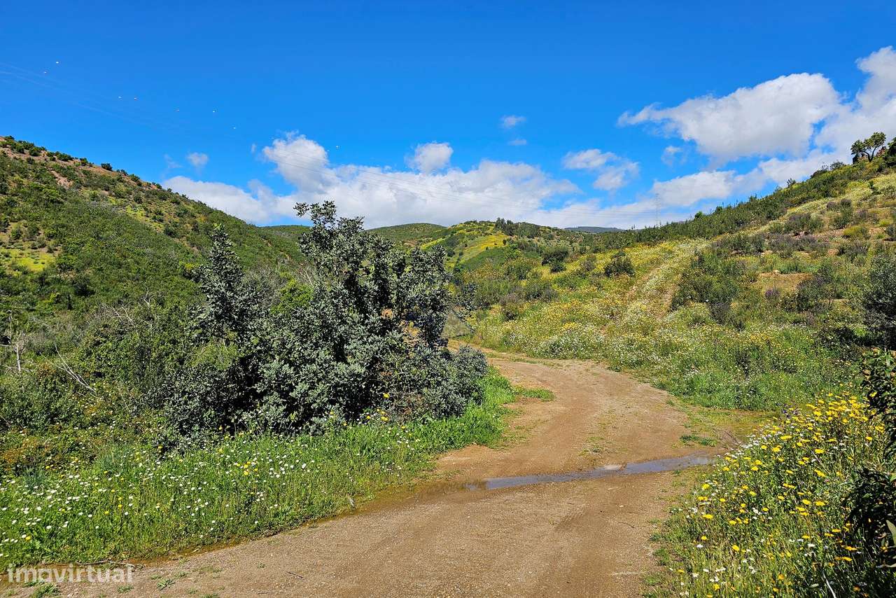 Terreno não urbanizável 750 m2 Situado em Alferce - Monchique - Grande imagem: 3/26
