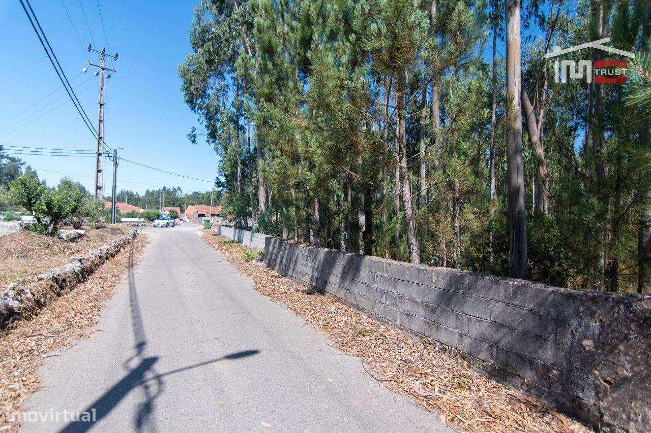 TERRENO EM MOITA DO MARTINHO A 5 MIN DE FÁTIMA - Grande imagem: 5/8