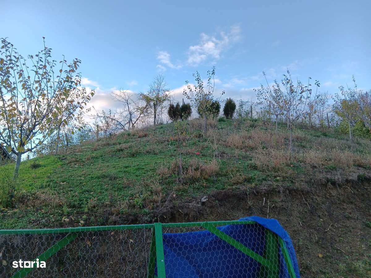 Casa Faget, Mioveni, teren 1665 mp, toate utilitatile, la asfalt-4