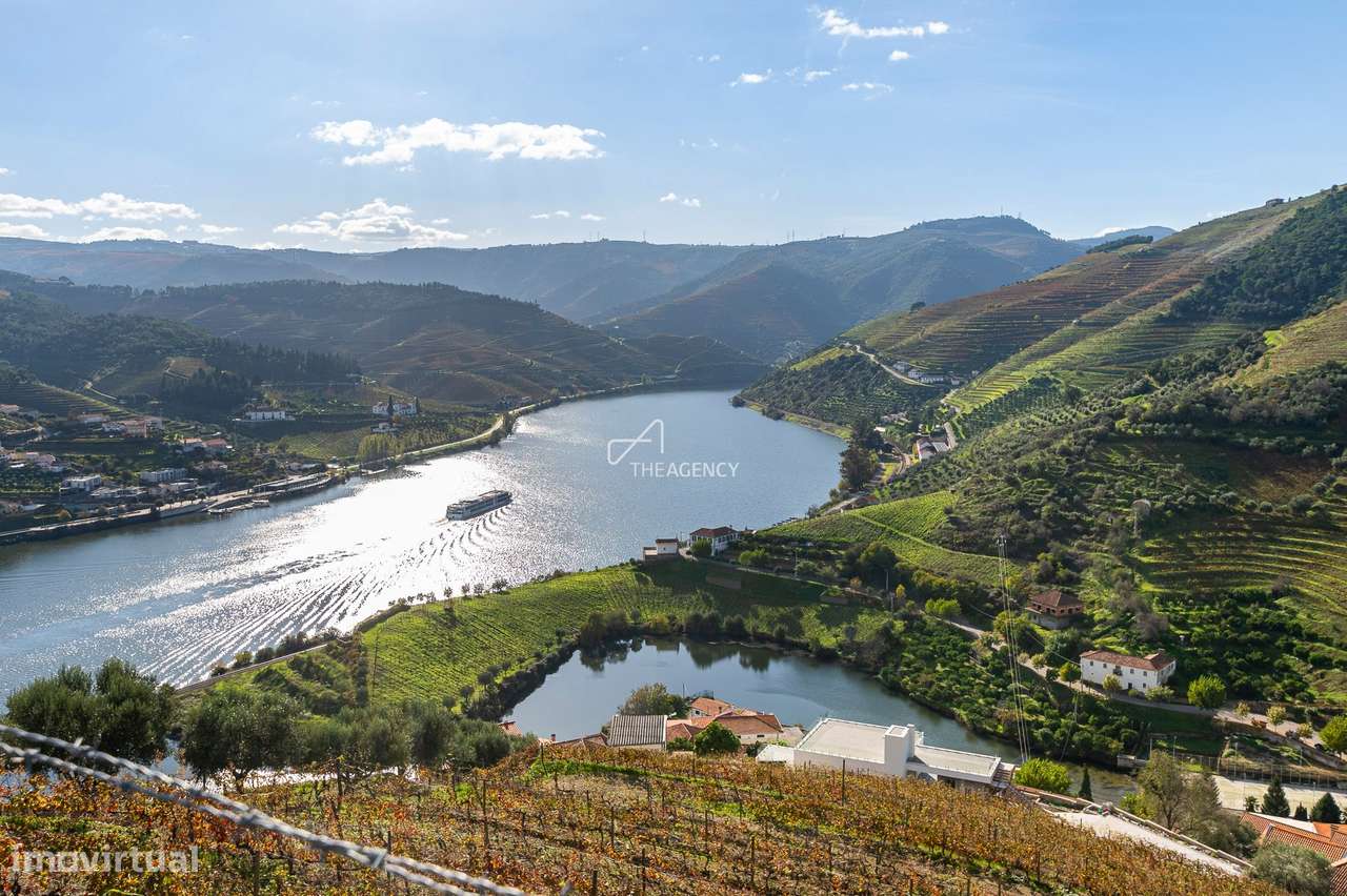 Quinta da Capela, uma propriedade produtora de vinho de 16 hectares j - Grande imagem: 2/28