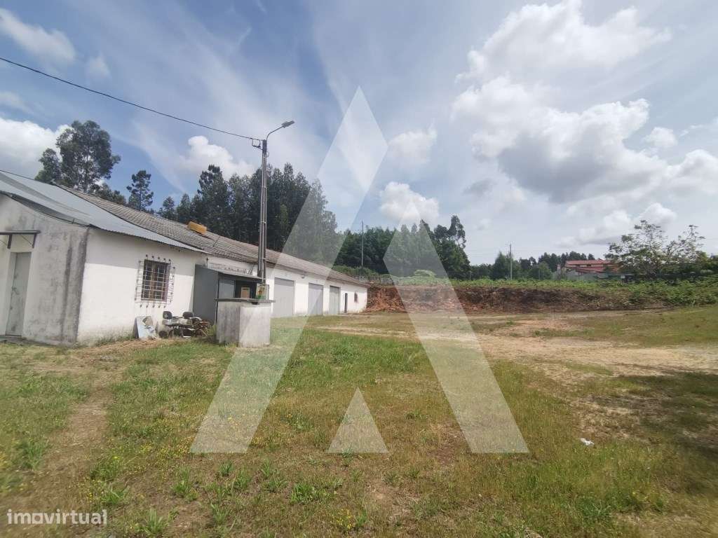 Armazém para venda em Macinhata do Vouga - Grande imagem: 5/30