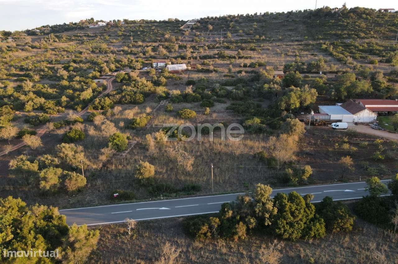 Terreno Rústico com 9.010m2 em Cumeada, Messines - Grande imagem: 5/16