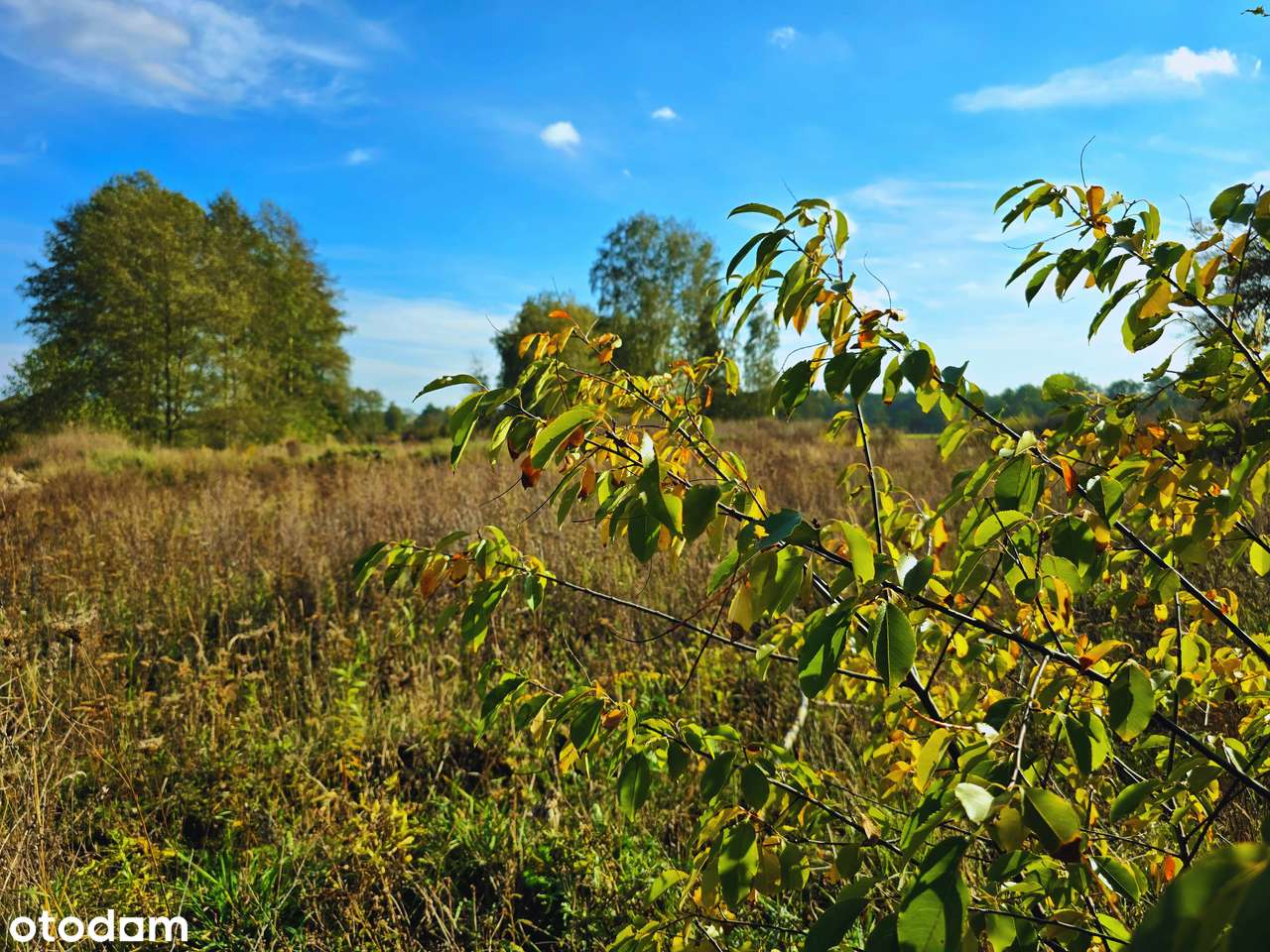 Działka pod inwestycję turystyczno-rekreacyjną, 3 ha,70 km od Warszawy-13