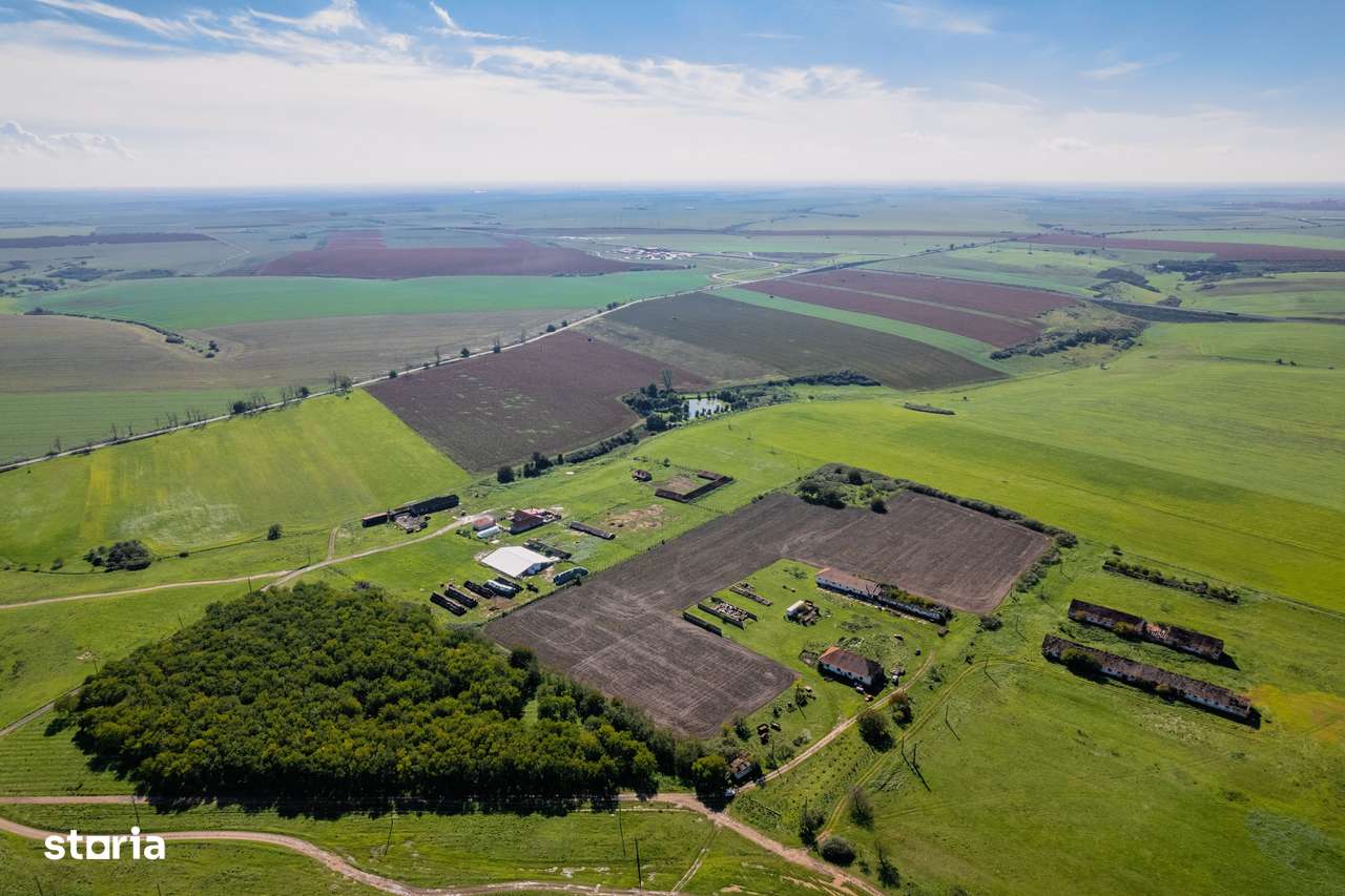 Teren de 69188 mp în Seceani - Imagine principală: 3/5