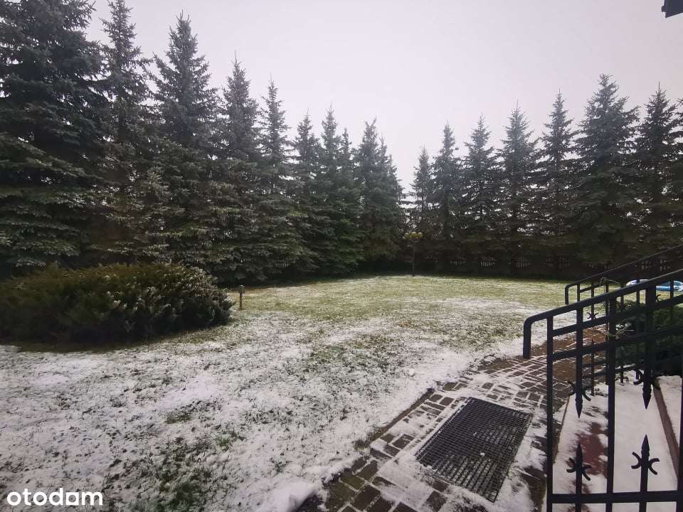 Dom z funkcją usługową-3