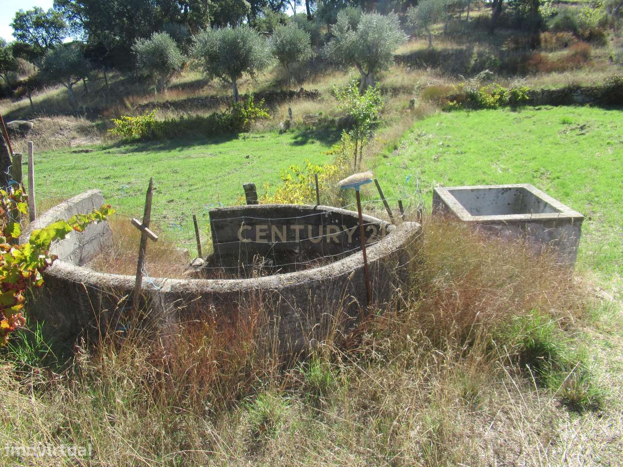 Terreno Rústico | Lousa, Castelo Branco - Grande imagem: 3/17