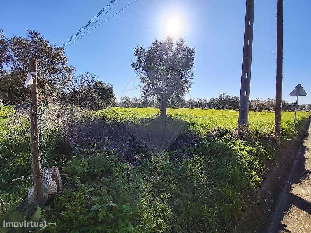 Terreno  para venda - Grande imagem: 4/5