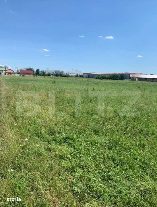 Teren Extravilan de Vanzare – 40 Arii – Strada Spicului - Imagine principală: 2/3