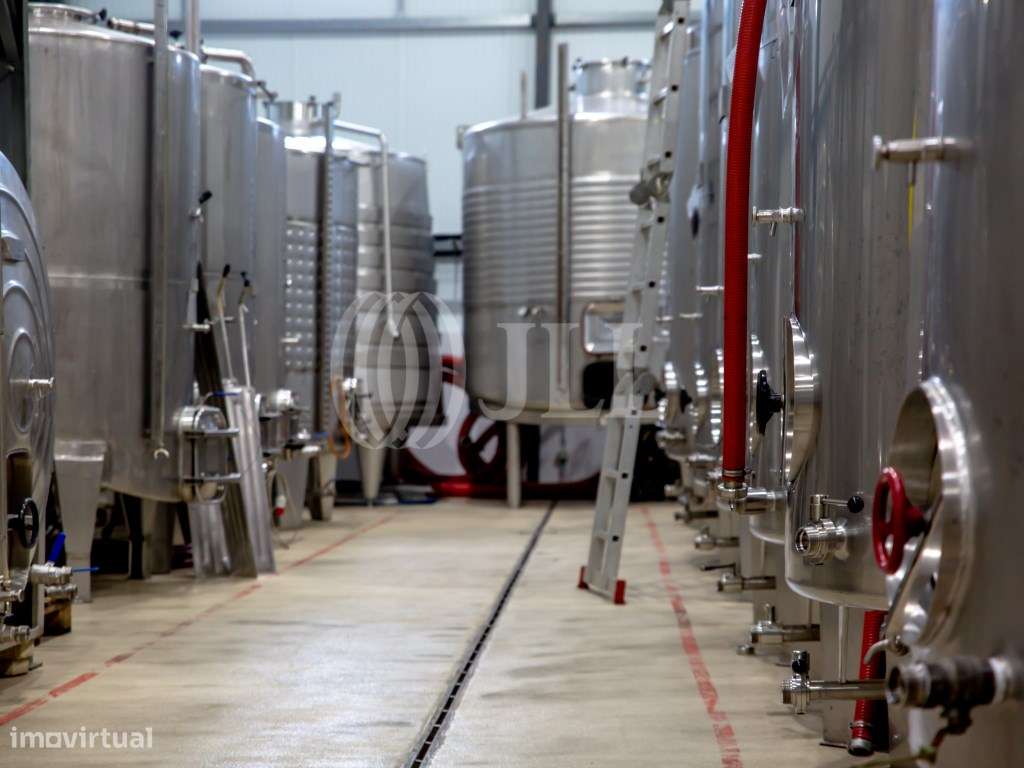 Adega em Parchal, Lagoa Algarve - Grande imagem: 5/6