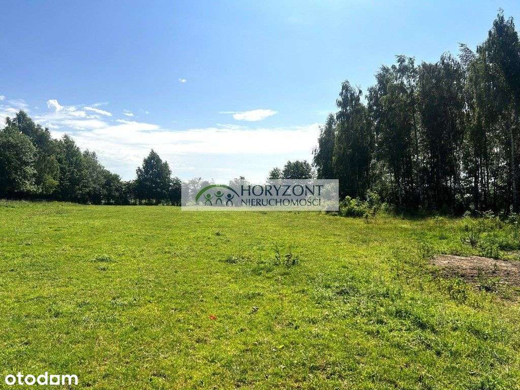 Somonino Rybaki działka 7500 m2 - Pełny obrazek: 4/7