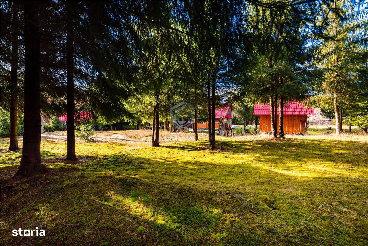 Cabane cu 10 camere Arieseni - Imagine principală: 4/20