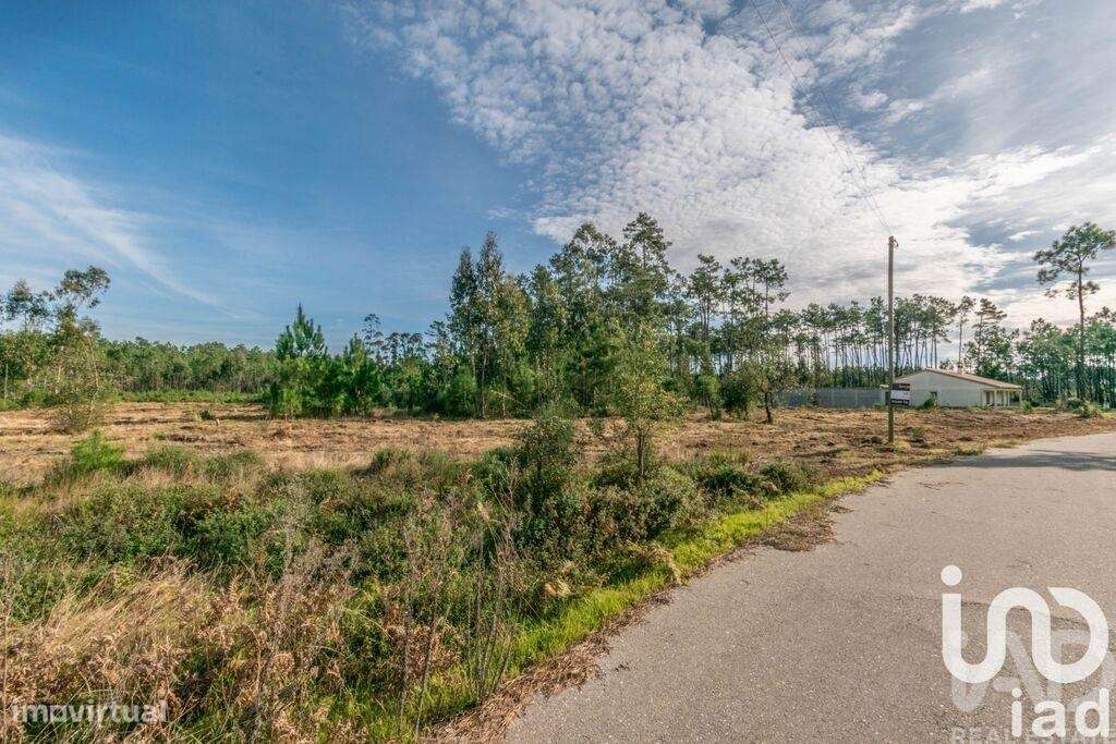 Terreno em Monte Redondo e Carreira - Grande imagem: 5/6