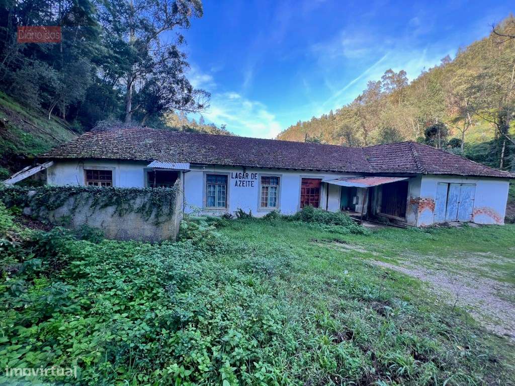 Lagar em Coimbra - Torres do Mondego (Coimbra) Portugal-5