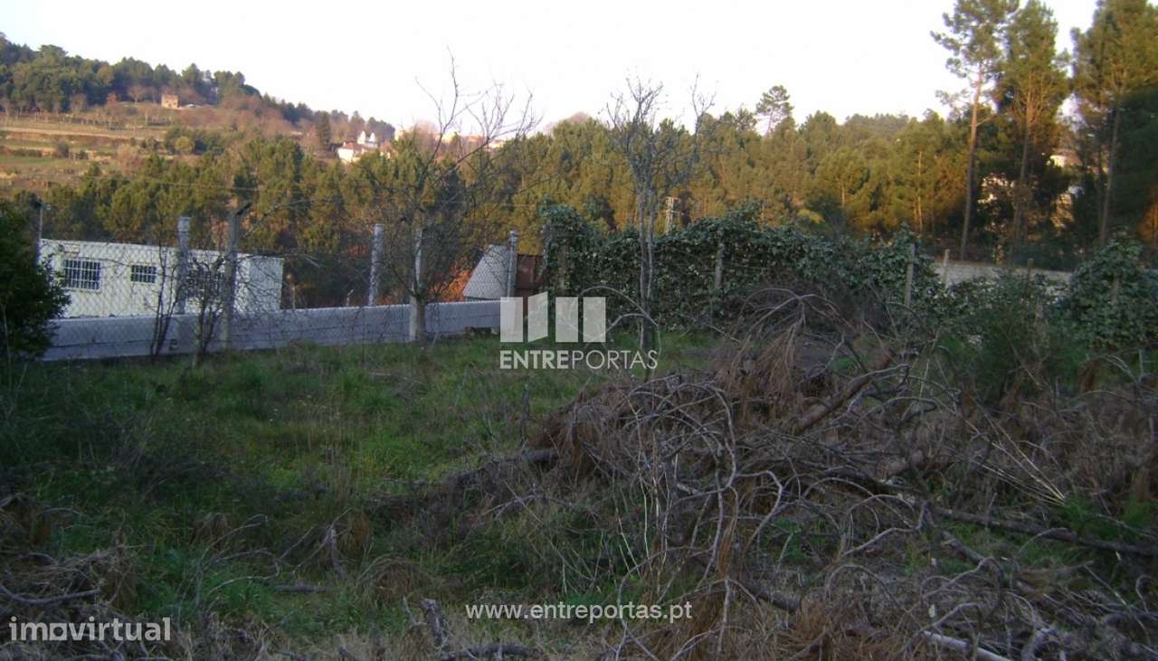 Venda Terreno, Avessadas, Marco de Canaveses - Grande imagem: 4/9