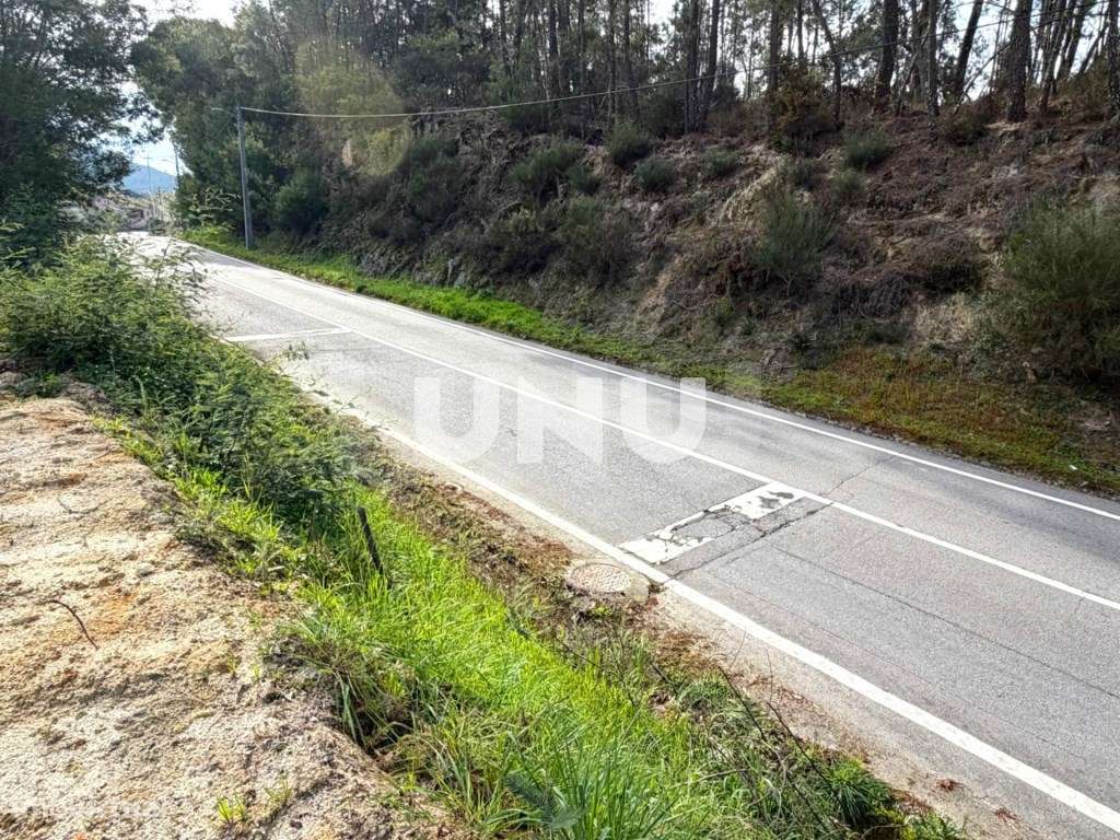 Terreno Rústico - Envolvente de Natureza - Grande imagem: 4/20