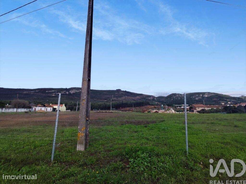 Terreno em Alcoentre - Grande imagem: 5/36