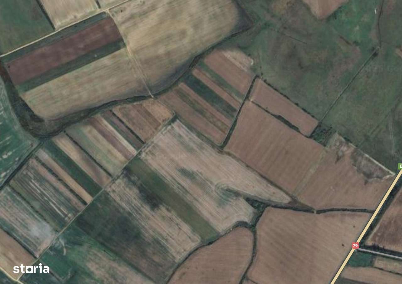 Teren extravilan 15000 mp, Salonta | Gaminvest, V4089 - Imagine principală: 1/1