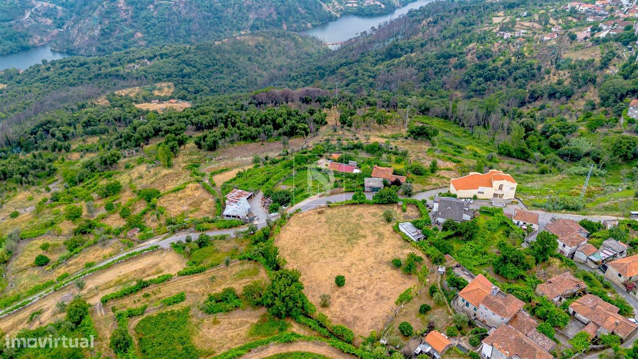 Terreno Para Construção  Venda em Ancede e Ribadouro,Baião-5