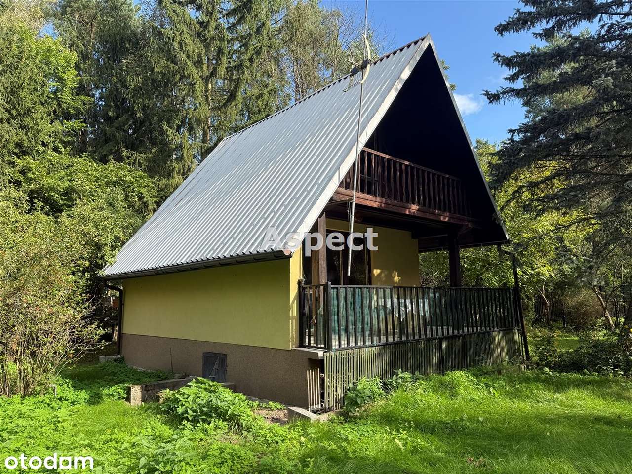 Domek letniskowy nad rzeką Narew - Pełny obrazek: 4/12