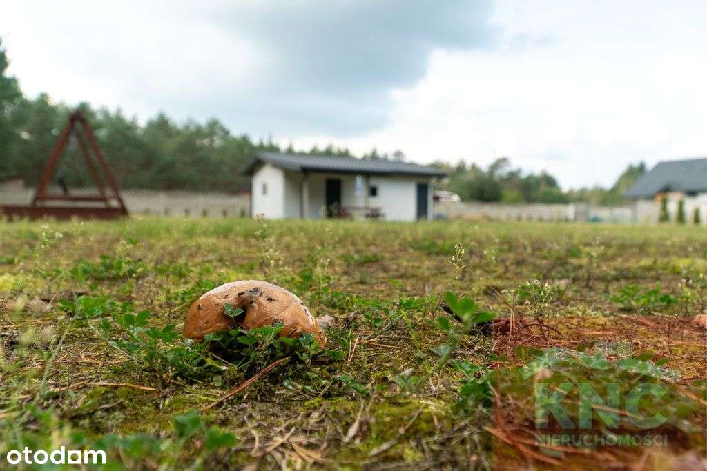Piękna działka – 1600 m², otoczona lasem - Pełny obrazek: 3/8