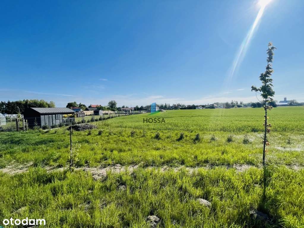 Kompleks działek w Litwinkach - Pełny obrazek: 5/8