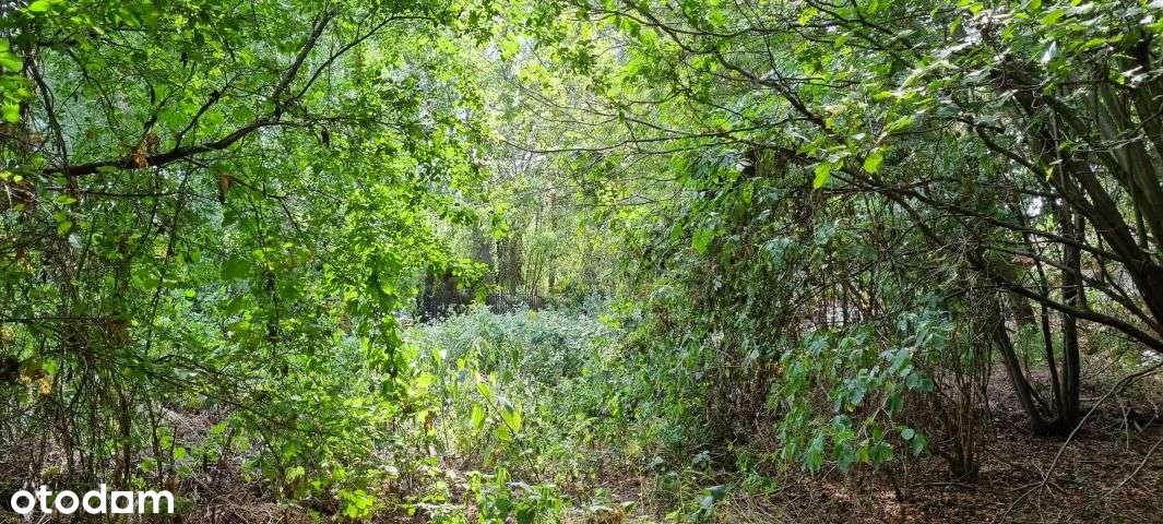 Piękna Zielona Działka Z Dobrym Dojazdem-7