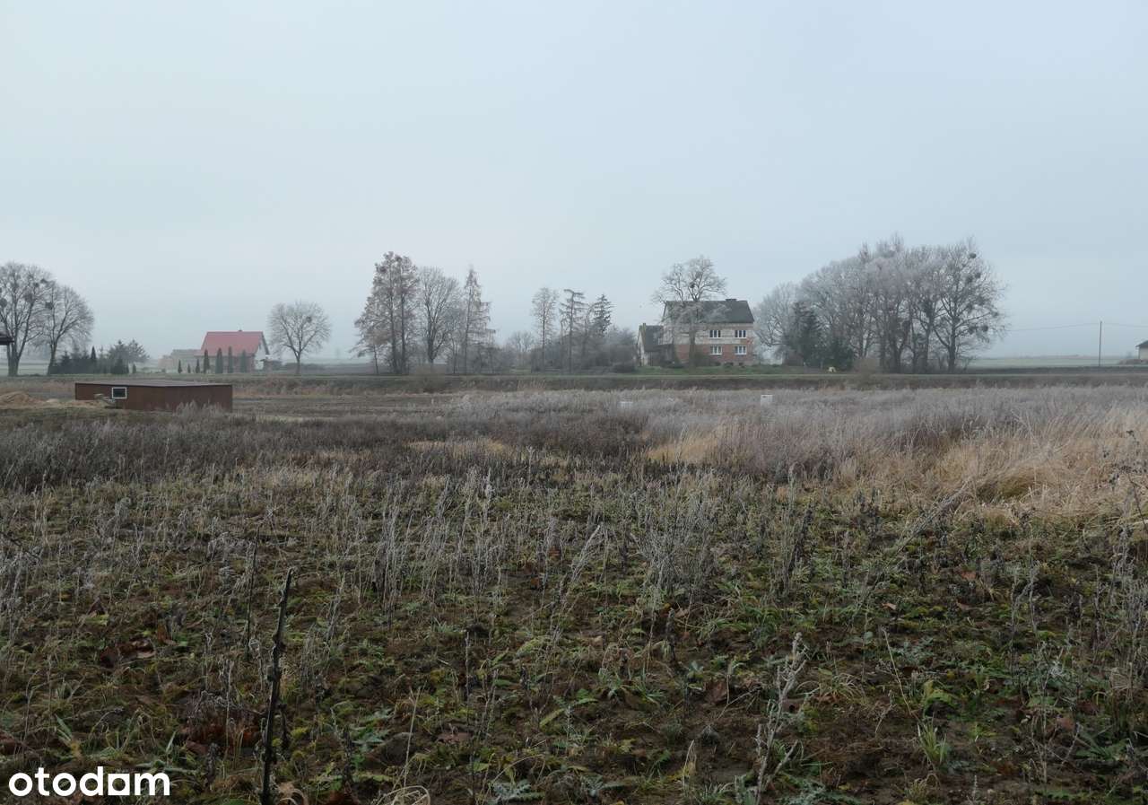 Działka z wydanymi warunkami zabudowy Podzamcze - Pełny obrazek: 4/5