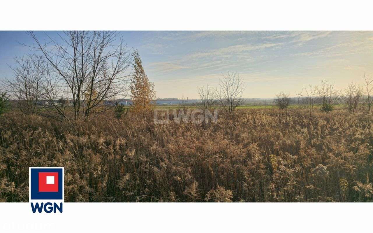 NOWA CENA! Działki inwestycyjne Natolin - Pełny obrazek: 4/6