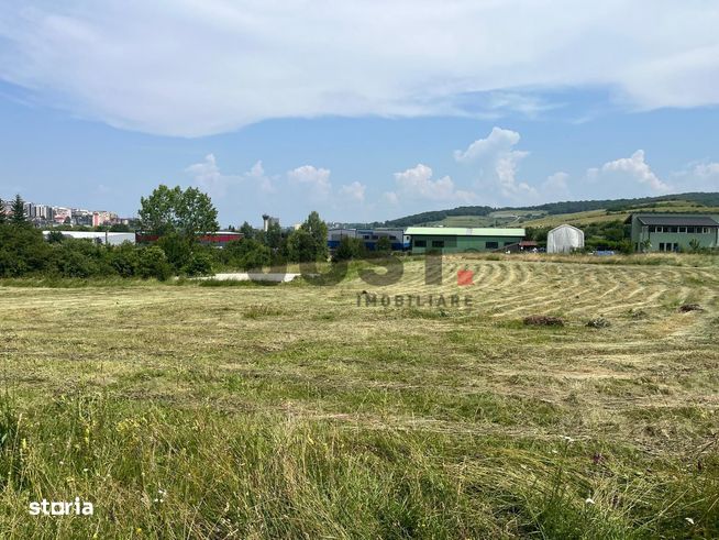 Teren industrial de vânzare-7054 mp – Baciu, județul Cluj-2