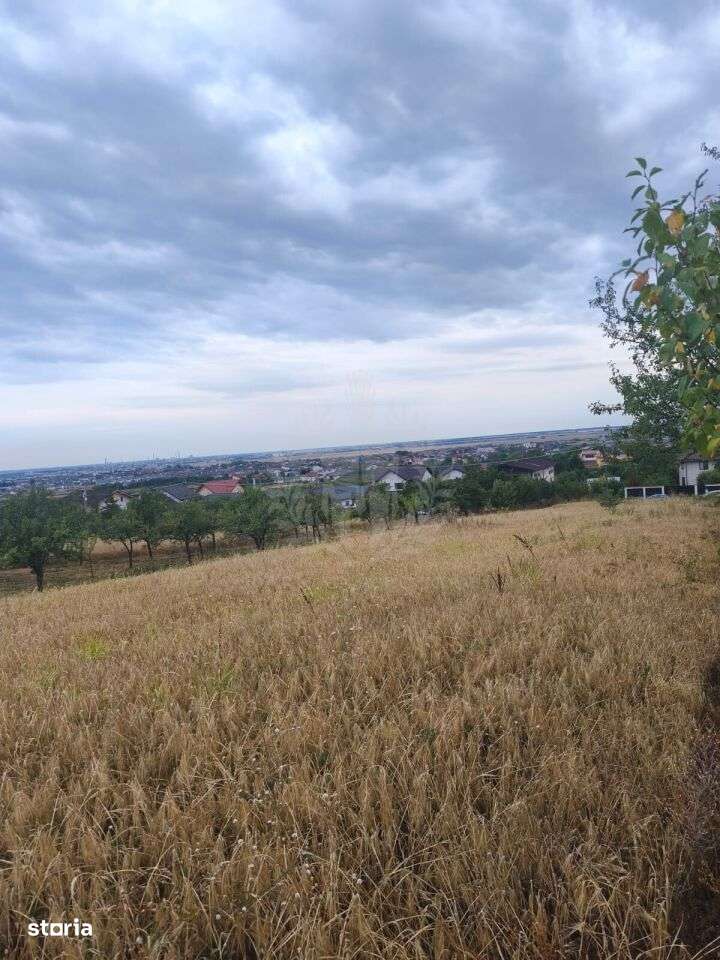 TEREN INTRAVILAN//PAULESTI//2930MP - Imagine principală: 2/4