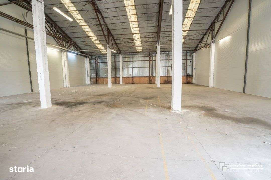 Modul hala 200-400 mp, Calea Baciului - Imagine principală: 3/6