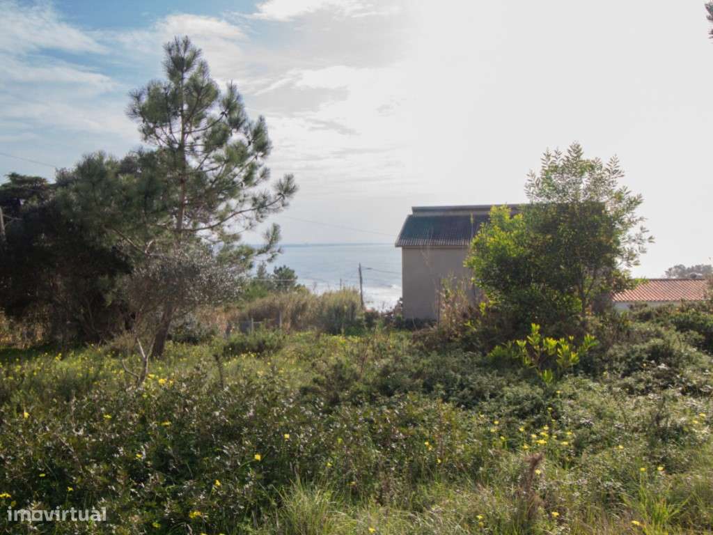 Terreno para construção . - Grande imagem: 5/11