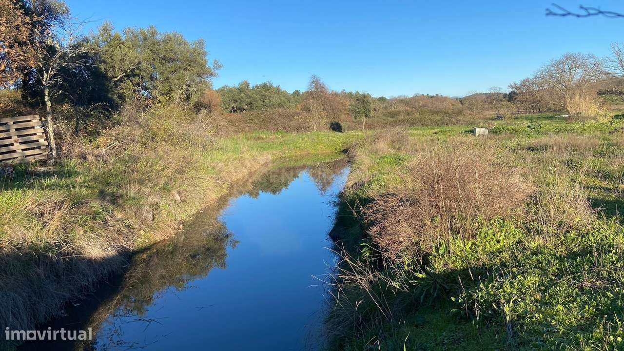 Magnífico terreno rústico com 1,9 hectares - Penamacor - Grande imagem: 5/16