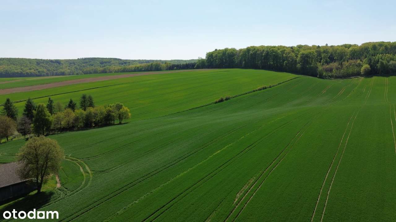 Działki Budowlane 20 km od Krakowa  Prąd Woda Gaz Zapraszam-11