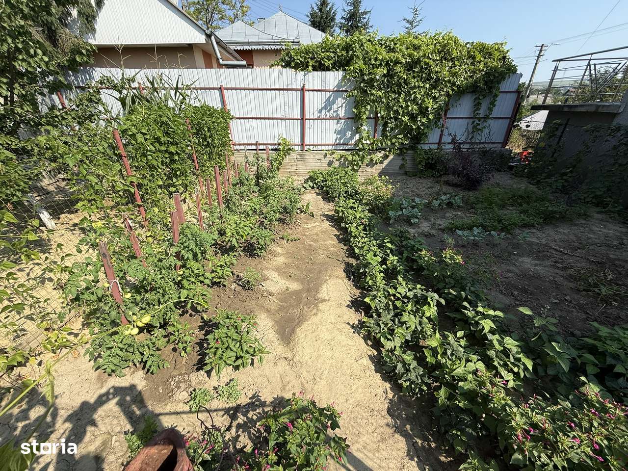 Casa la strada principala, Podu Iloaiei - Imagine principală: 5/14