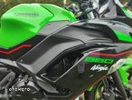 Kawasaki Ninja - 25