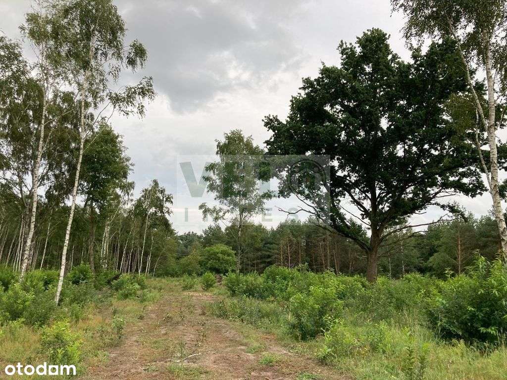 Radzyny - działka budowlana pod lasem-4