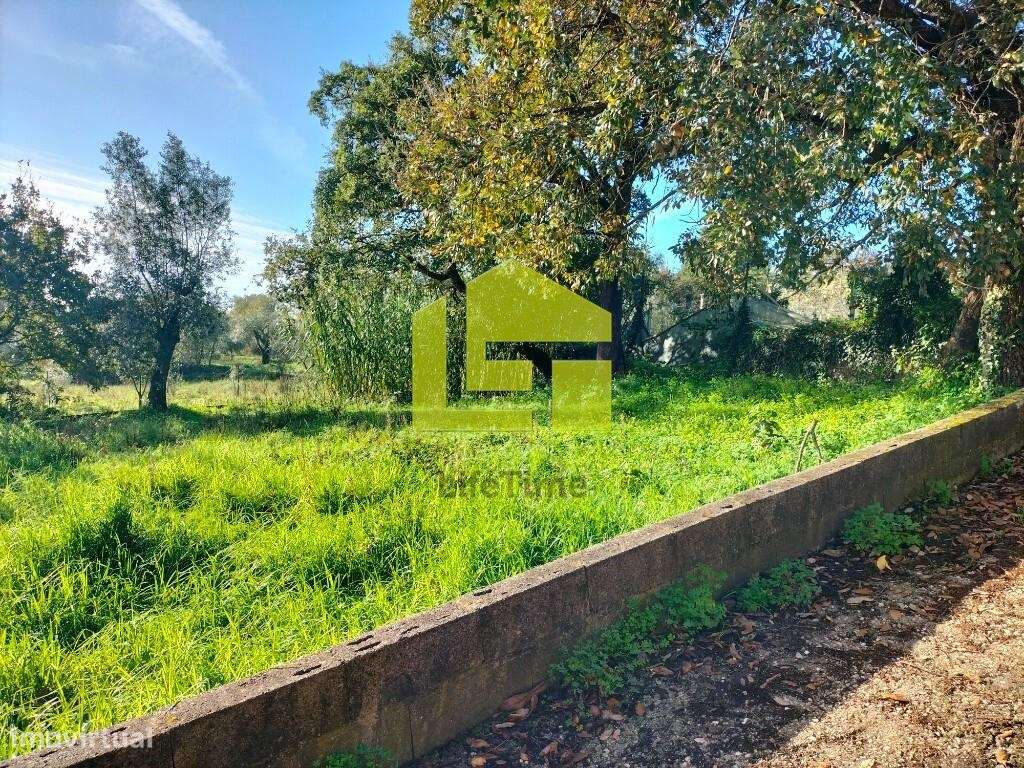 Terreno com projeto aprovado para armazém - Grande imagem: 5/15